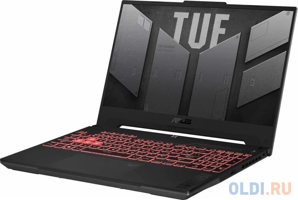 Ноутбук ASUS TUF Gaming F15 FX507VI-HQ108 90NR0FH7-M005V0 15.6"