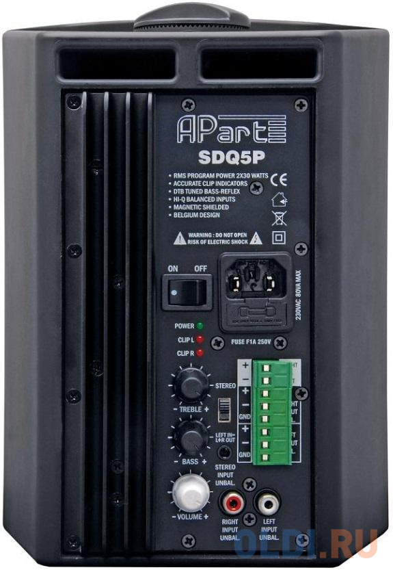 Колонки Apart BIAMP SDQ5P-BL 2.0 Черный