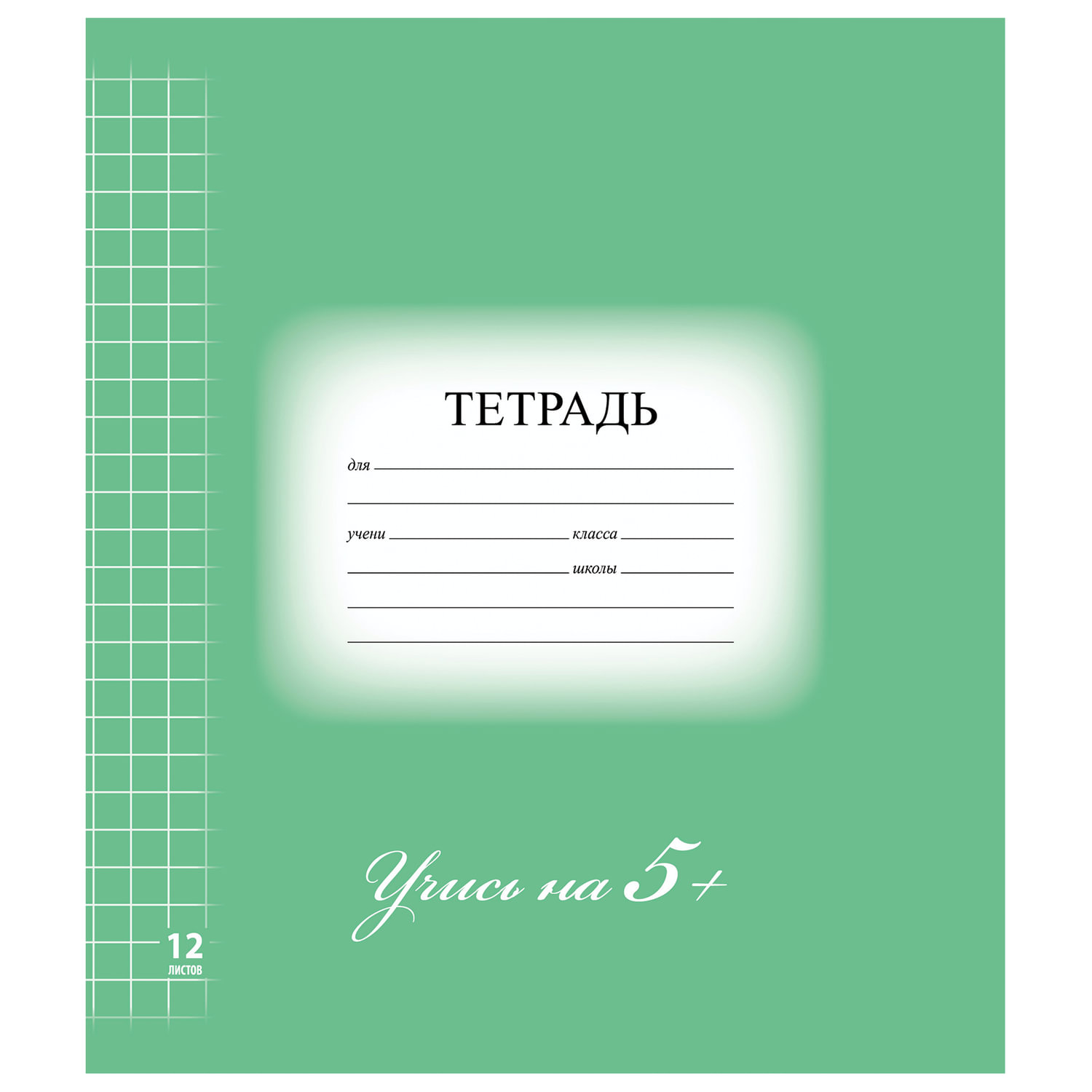 Тетрадь 12 л. BRAUBERG ЭКО 5-КА, крупная клетка, обложка картон, ЗЕЛЕНАЯ, 104761, (80 шт.)