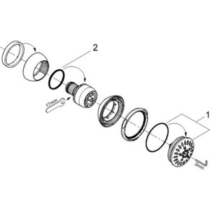 Боковая форсунка Grohe Movario Dual (28514000) в Москвe