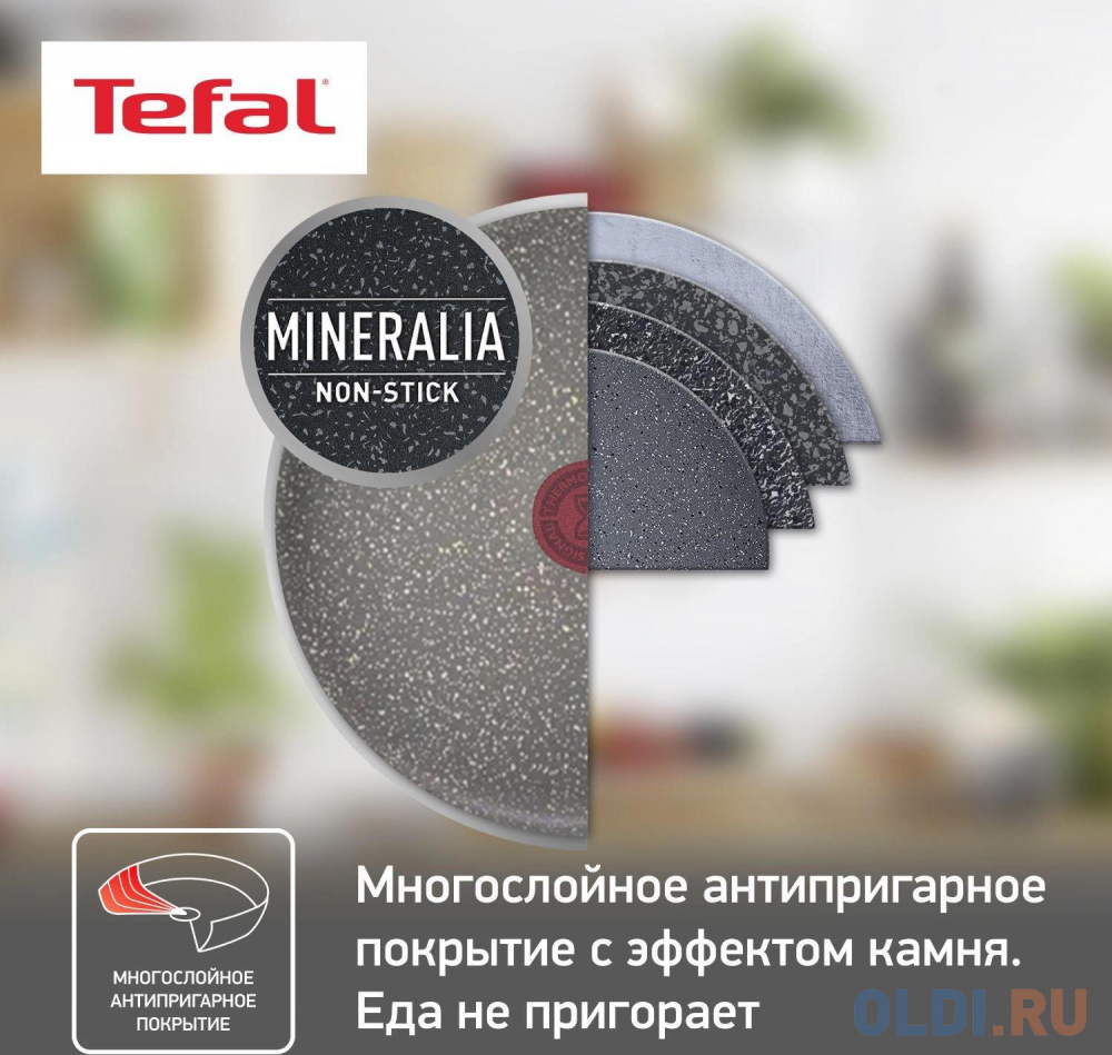 Сковорода блинная Tefal Natural Cook 4213522 круглая 22см ручка несъемная (без крышки) серый (9100053997) в Москвe