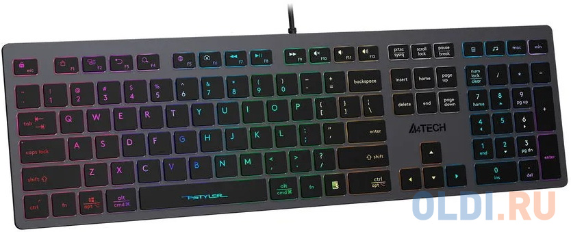 Клавиатура A4TECH Fstyler FX60 Black USB