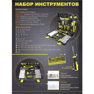 Набор инструментов WMC TOOLS 1001 предмет (201001)