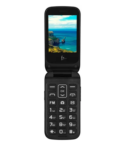 Мобильный телефон Fly Flip 280, 2.8" 320x240 TFT, BT, 1xCam, 2-Sim, 1000 мА·ч, micro-USB, черный (Flip 280 Black)