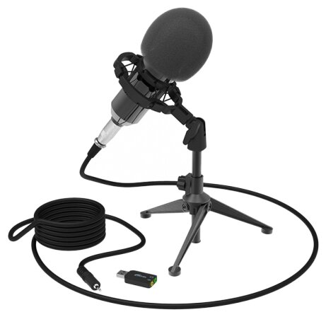 Микрофон Ritmix RDM-160, конденсаторный, черный (80000132)