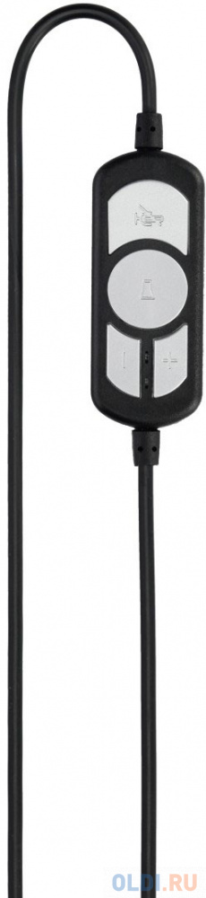 Наушники с микрофоном Hama HS-USB300 черный 2м мониторы оголовье (00139924)