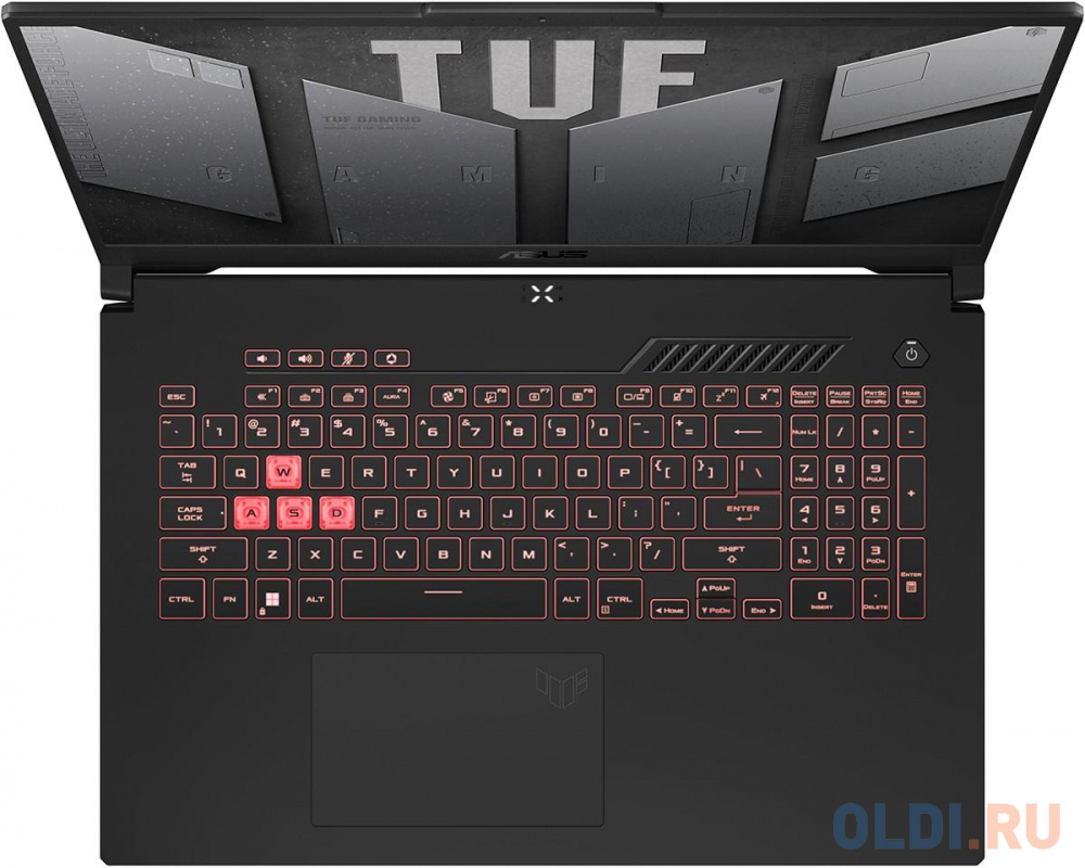 Ноутбук ASUS TUF FA707RM 90NR0972-M001N0 17.3"