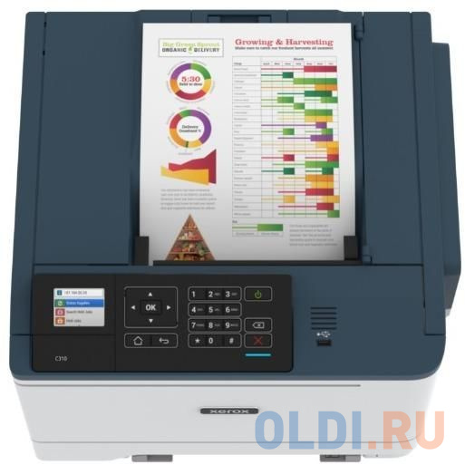 Светодиодный принтер Xerox C310V_DNI