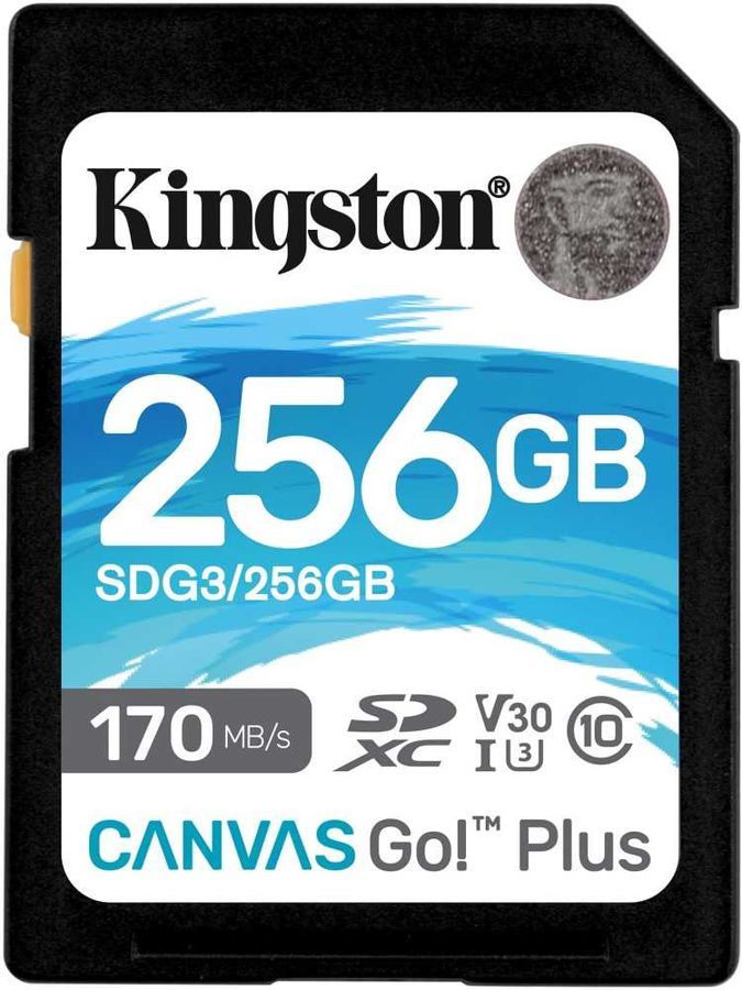 Карта памяти Kingston SDG3/256GB в Москвe