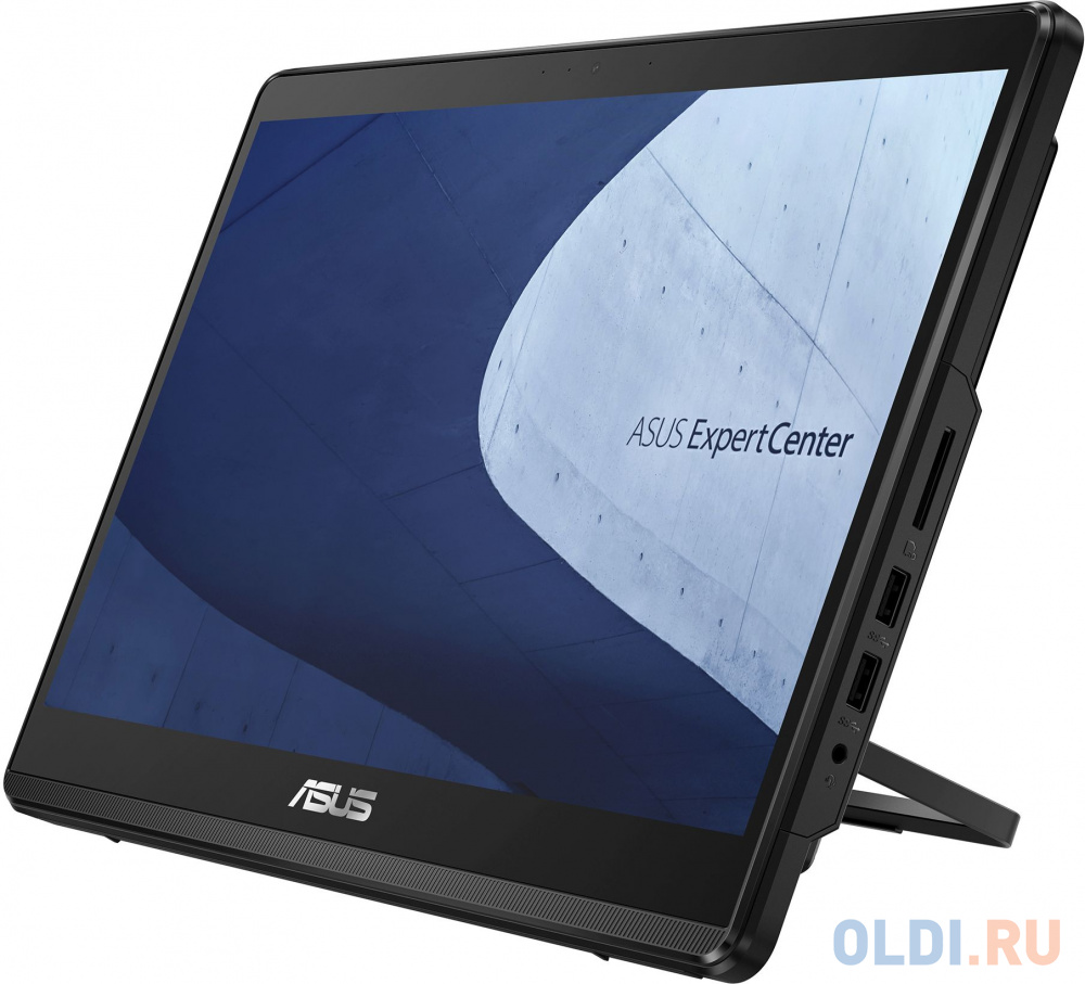 Моноблок Asus E1600WKAT-BD133M 15.6" HD Touch Cel N4500 (1.1) 8Gb SSD256Gb UHDG noOS GbitEth WiFi BT 65W Cam черный 1366x768