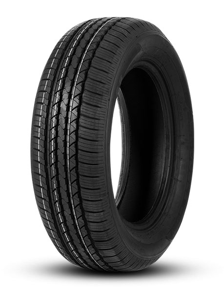 245/65 R17 Double Coin DS-66 111H XL