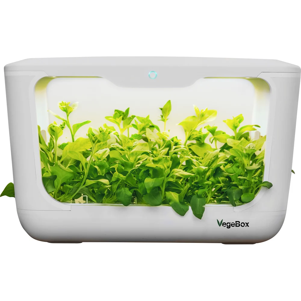 Домашняя садовая ферма Vegebox