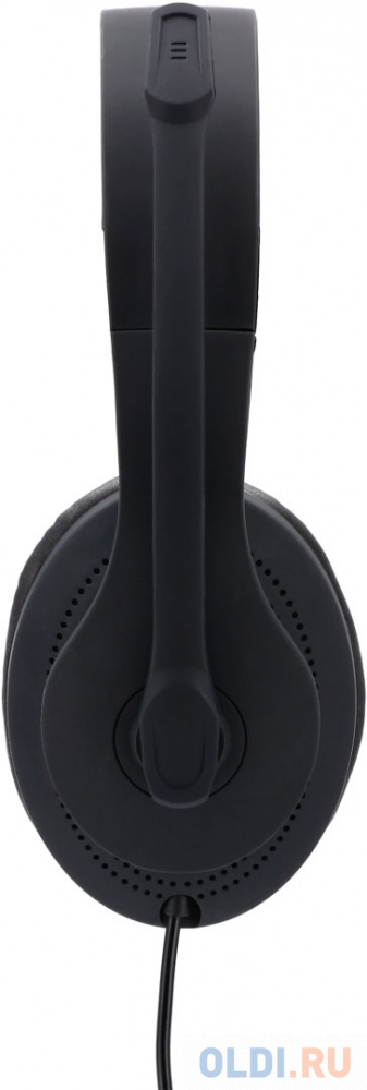 Наушники с микрофоном Hama HS-USB300 черный 2м мониторы оголовье (00139924)