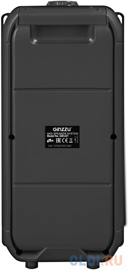 Колонка портативная 1.0 (моно-колонка) GINZZU GM-221 Черный