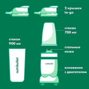 Блендер NutriBullet NB100DG Pro