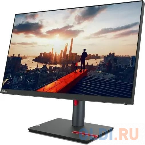 Монитор Lenovo 23.8" ThinkVision P24h-30 черный IPS LED 4ms 16:9 HDMI матовая HAS Piv 300cd 178гр/178гр 2560x1440 60Hz DP 2K USB 5.7кг