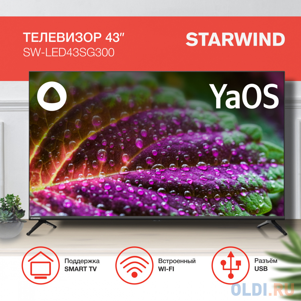 Телевизор LED Starwind 43" SW-LED43SG300 Яндекс.ТВ Frameless черный FULL HD 60Hz DVB-T DVB-T2 DVB-C DVB-S DVB-S2 USB WiFi Smart TV