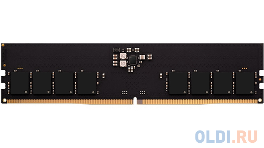 8GB AMD Radeon™ DDR5 5600 DIMM Entertainment Series Black Gaming Memory R558G5600U1S-U Non-ECC, CL40, 1.1V, RTL (R558G5600U1S-U)