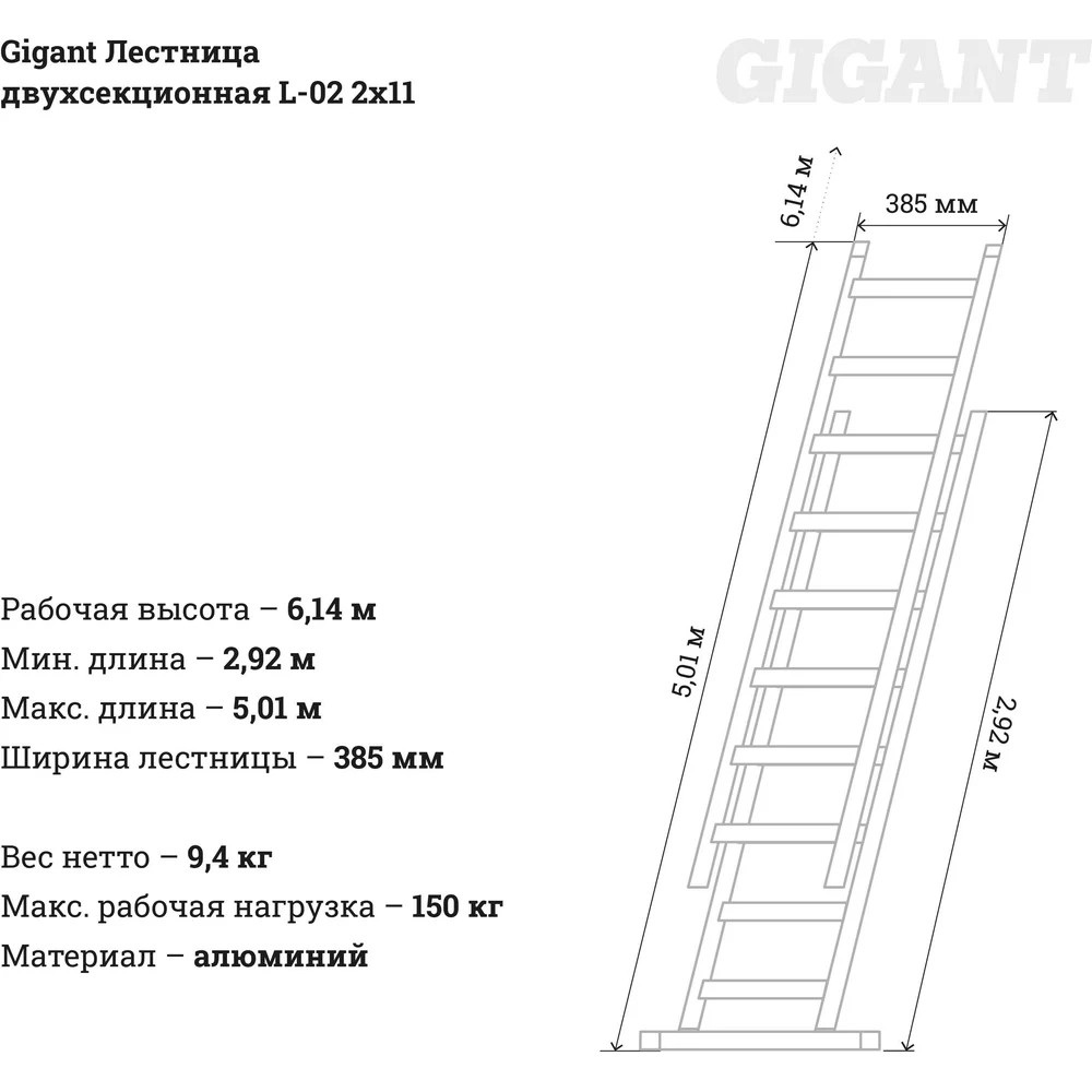 Двухсекционная лестница Gigant в Москвe