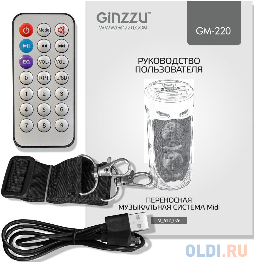 Ginzzu GM-220 {(V5.0), 24Вт, 150Гц- 18кГц, USB-flash, microSD-card, FM-радио, пульт ДУ,  батарея 3,6В/2400мАч, эквалайзер}