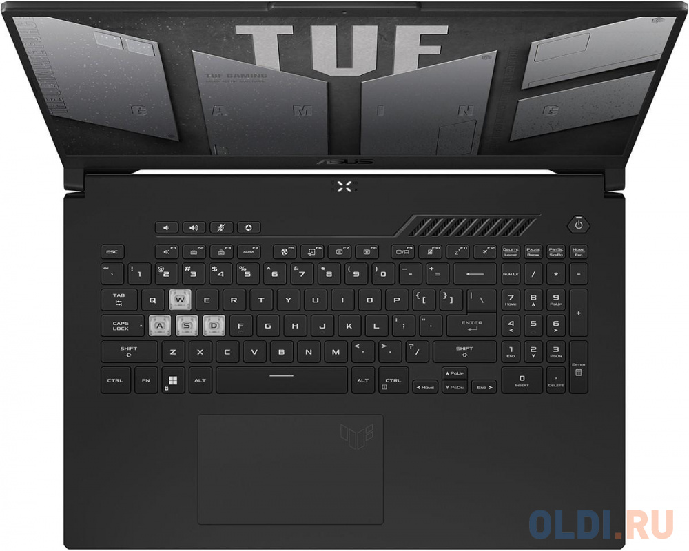 Ноутбук ASUS TUF FA707RM 90NR0972-M001N0 17.3"