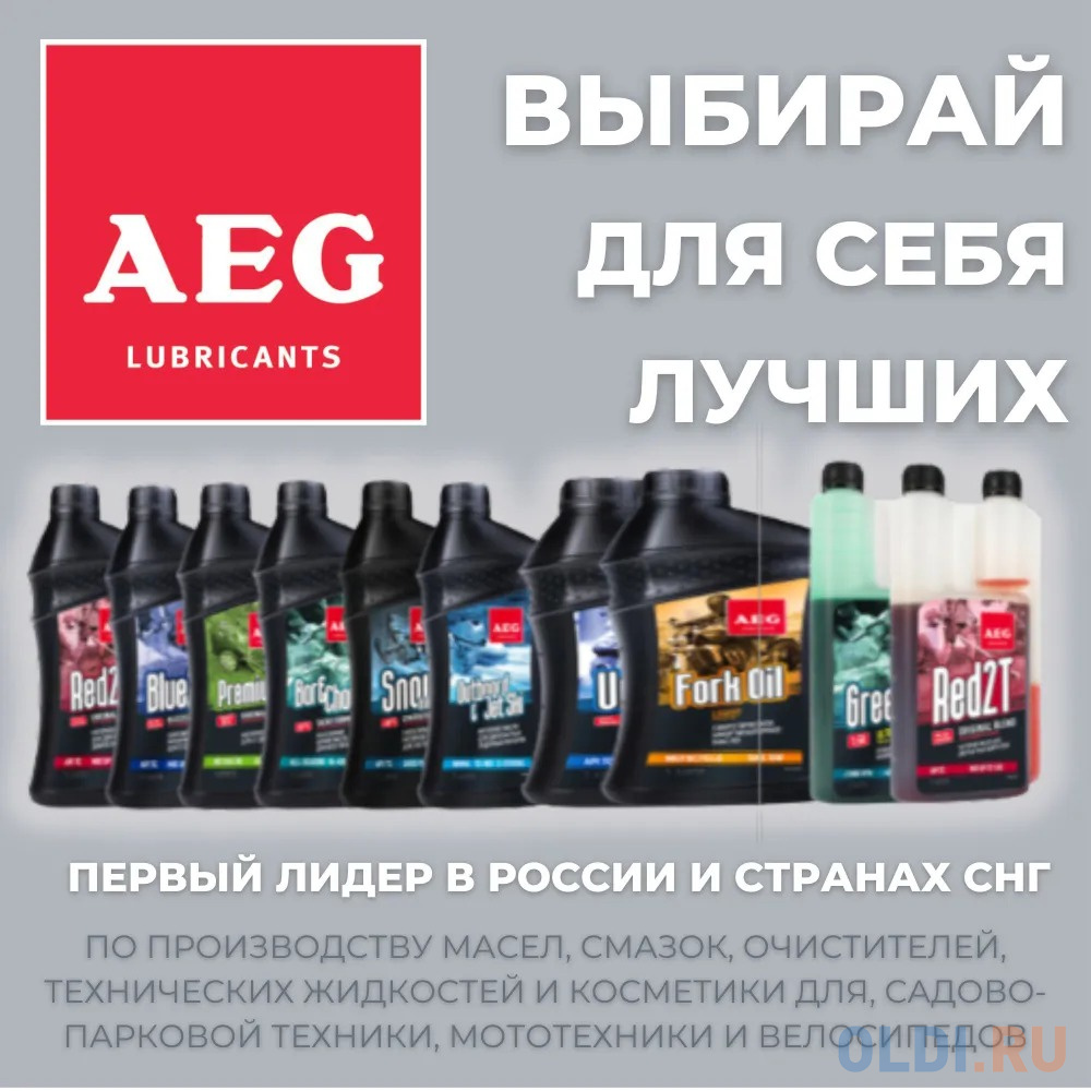 AEG Compressor Premium Oil VG-100 Масло компрессорное 1л в Москвe