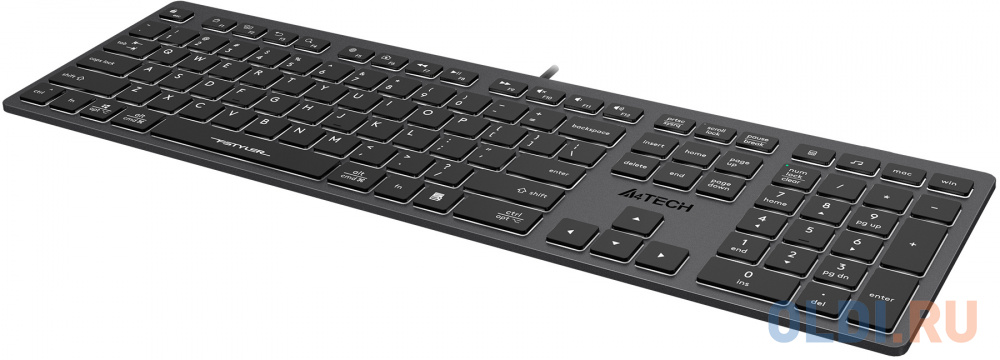 Клавиатура A4TECH Fstyler FX60H Grey USB