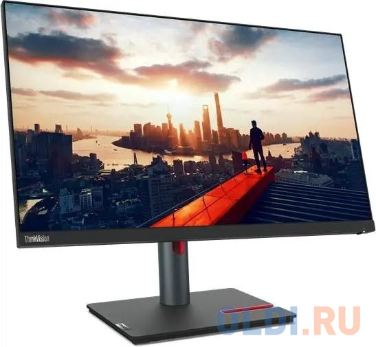 Монитор Lenovo 23.8" ThinkVision P24h-30 черный IPS LED 4ms 16:9 HDMI матовая HAS Piv 300cd 178гр/178гр 2560x1440 60Hz DP 2K USB 5.7кг