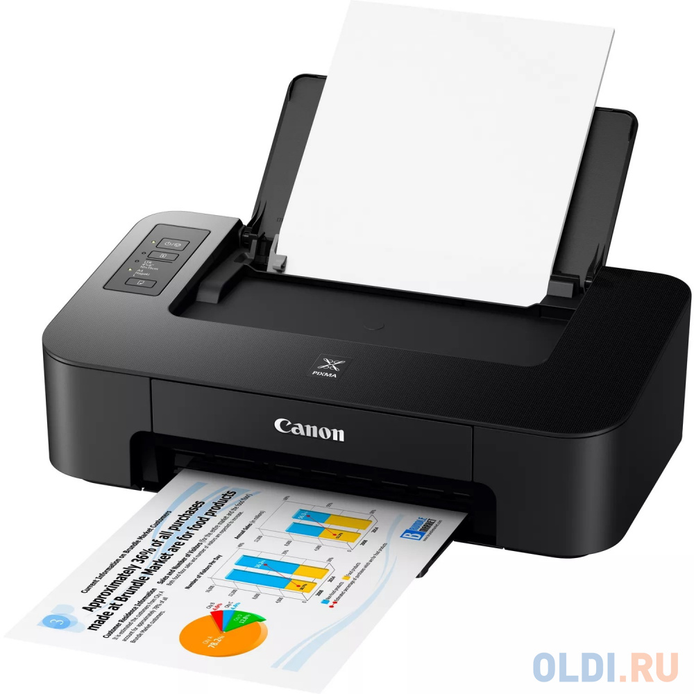 Струйный принтер Canon PIXMA TS205