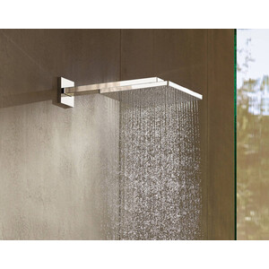 Верхний душ с кронштейном Hansgrohe Raindance Е 300 бронза (26238140)