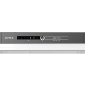 Встраиваемый холодильник Gorenje RKI2181A1