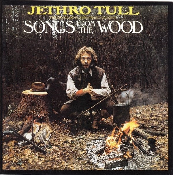 Виниловая пластинка Jethro Tull, Songs From The Wood (0190295847852)