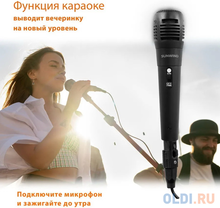 Минисистема SunWind SW-MS50 черный 45Вт FM USB BT SD/MMC в Москвe