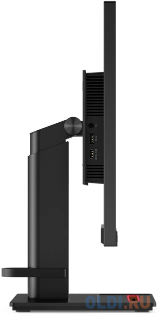 Lenovo ThinkVision P24h-2L 23,8" 16:9 QHD (2560x1440) IPS, 4ms, 1000:1, 300cd/m2, 178/178, 1xHDMI 1.4, 1xDP 1.2, 1xDP 1.2(Out), 1xUSB-C, USB Hub(