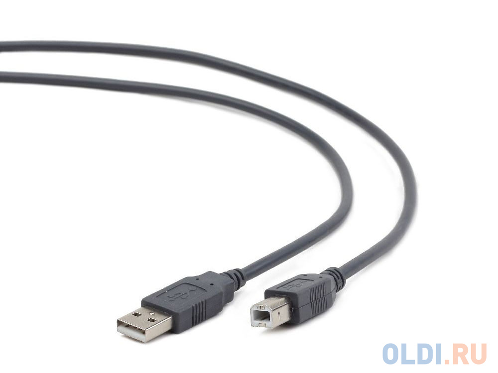 Кабель USB 2.0 AM-BM 1.8м черный Cablexpert CCF2-USB2-AMBM-6