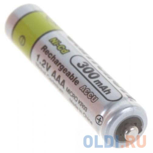 Camelion   AAA- 300mAh Ni-Cd BL-2 (NC-AAA300BP2, аккумулятор,1.2В) (2 шт. в уп-ке) в Москвe