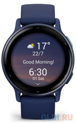 Смарт-часы Garmin Vivoactive 5 синий 42мм в Москвe