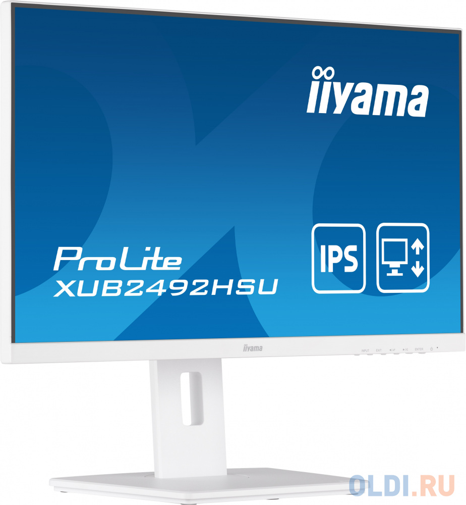 Монитор LCD 23.8'' 16:9 1920х1080(FHD) IPS, nonGLARE, 250cd/m2, H178°/V178°, 1000:1, 5M:1, 16.7M, 4ms, VGA, HDMI, DP, USB-Hub, Height adj, P в Москвe