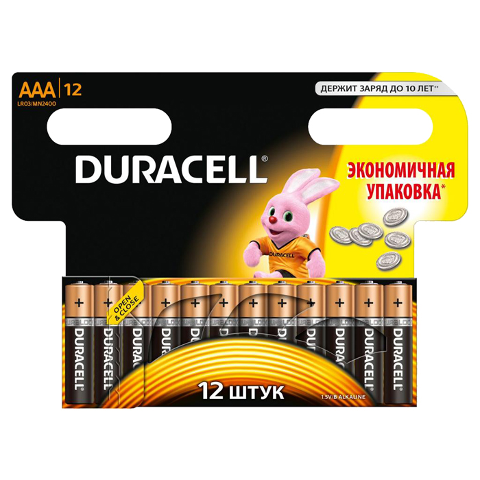 Батарея Duracell Basic LR03-12BL , AAA, 1.5V 12шт