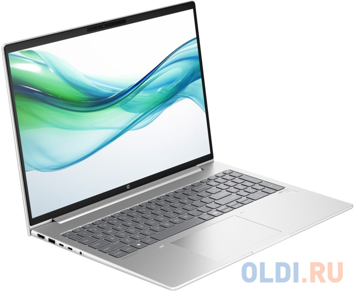 Ноутбук HP ProBook 460 G11 A1LD5UT 16"