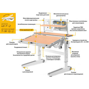 Детский стол Mealux Ergowood - M Multicolor + полка BD P-18 MG (BD-800 MG/MC Energy + BD P-18 MG) столешница клен/накладки на ножках серые в Москвe
