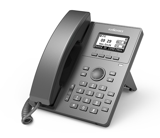 VoIP-телефон FLYINGVOICE P10W, 2 линии, 2 SIP-аккаунта, монохромный дисплей, серый (P10W)