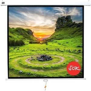 Экран для проектора S'OK 244x183 Wallscreen 4:3 подпружиненный 120'' (SCPSW-244x183)