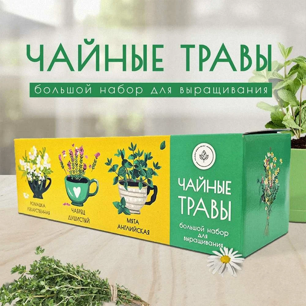 Набор для выращивания растений Plant Republic в Москвe