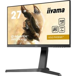 Монитор Iiyama GB2790QSU-B1 LCD 27'' 16:9 2560x1440(FHD) IPS, Black в Москвe