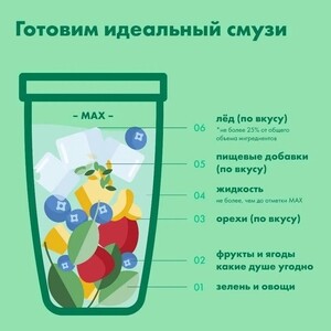 Блендер NutriBullet NB100DG Pro