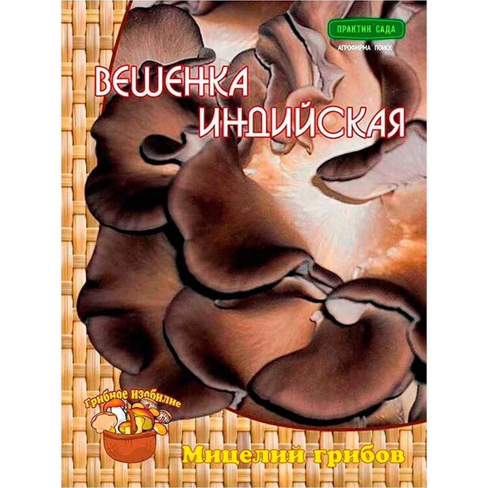 Мицелий ПОИСК