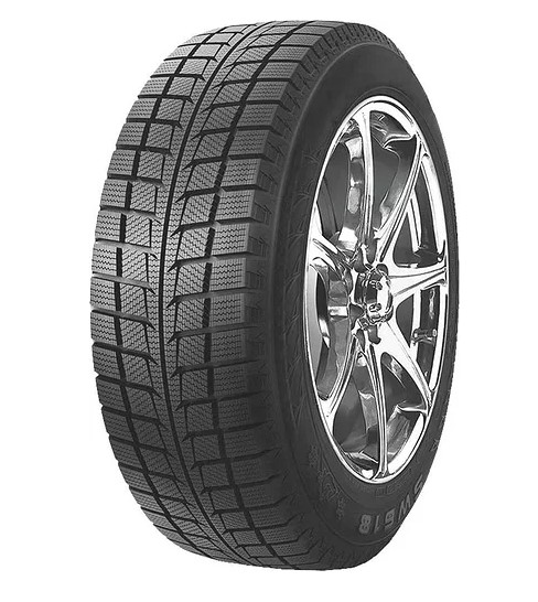 205/60 R16 WestLake SW618 92T