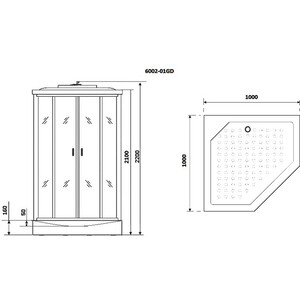 Душевая кабина Niagara NG-6002-01GD 100х100х220