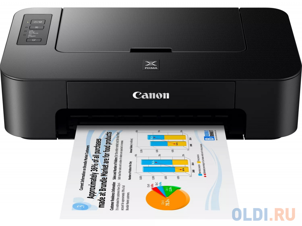 Струйный принтер Canon PIXMA TS205